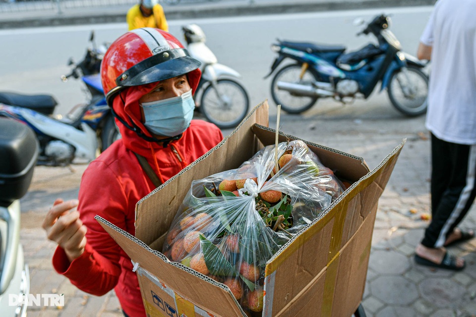 Người Hà Nội đội nắng nóng đi mua vải thiều Bắc Giang - 8 Người Hà Nội đội nắng nóng đi mua vải thiều Bắc Giang - 8