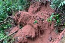 Ninh Bình: Đồi nứt toác dài 400m, công bố tình huống khẩn cấp về thiên tai