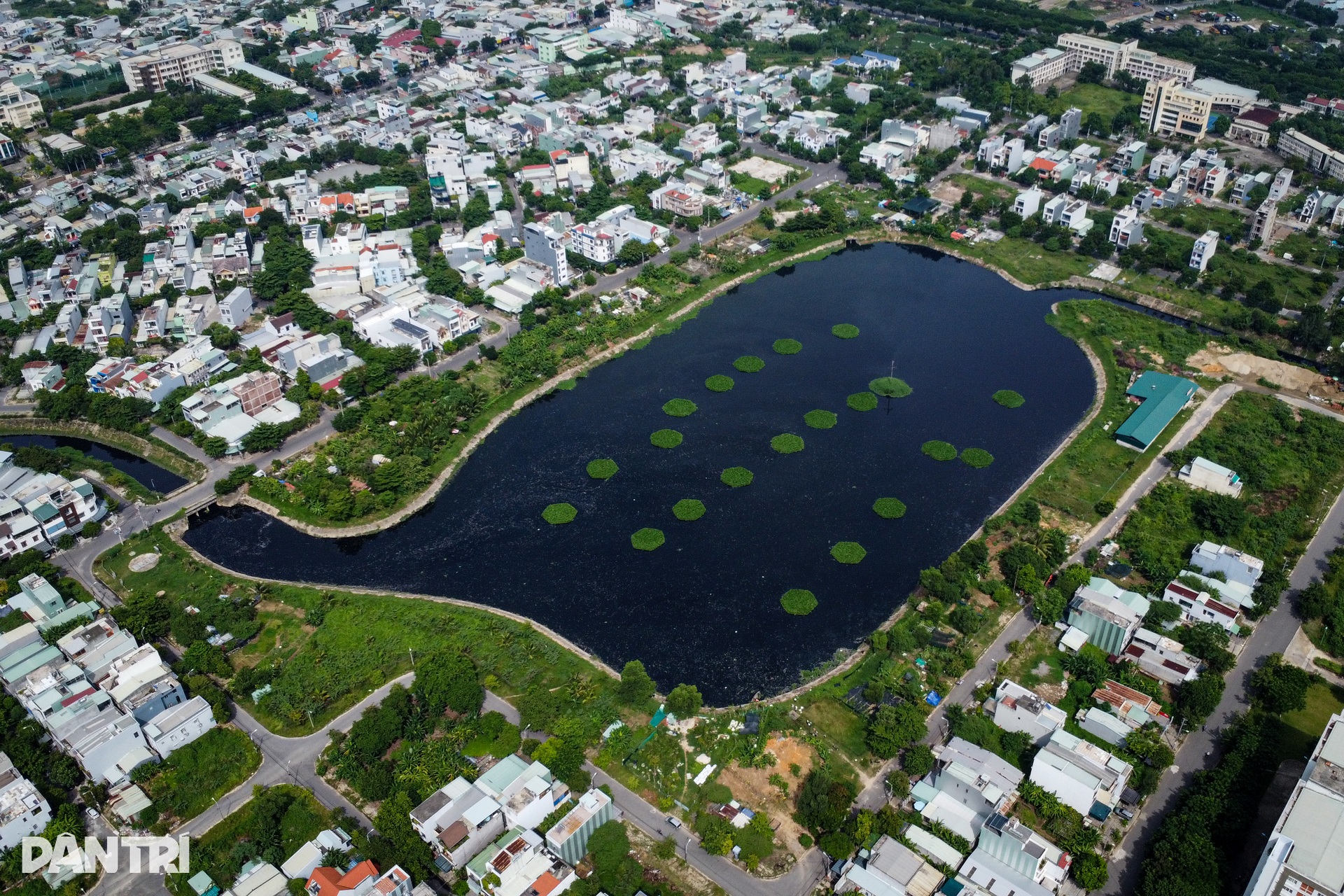 Cá chết trắng trên dòng kênh đen ngòm ở Đà Nẵng - 10