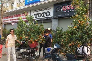 Tấp nập mua đào, quất giá rẻ chiều 30 Tết