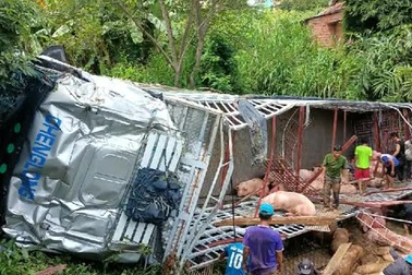 Không giảm tốc độ khi vào cua, xe tải lật nghiêng xuống đường