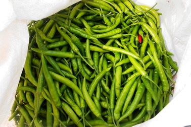 Thương lái Trung Quốc không "ăn hàng", ớt rớt giá mạnh