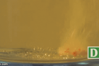 Vì sao viên C sủi lại sủi bọt khi cho vào nước?