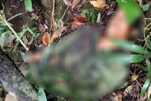 Súng cướp cò, nam thanh niên trúng 13 mảnh đạn tử vong tại chỗ