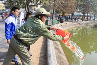 Bạn trẻ giúp sức, hồ Hoàn Kiếm "vắng bóng" túi ni lông ngày thả cá