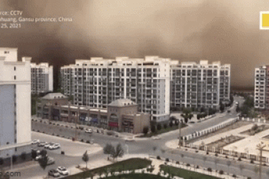 Kinh hoàng bão cát "nuốt chửng" thành phố Trung Quốc