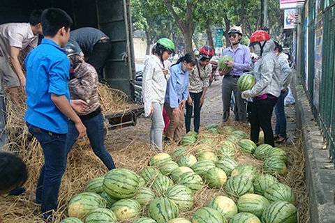 Đầu ra cho nông sản: Tìm giải pháp “tấm lòng” là không ổn!