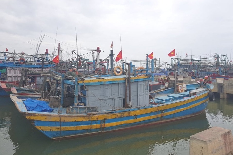 Giáp Tết Nguyên đán, ngư dân vùng bãi ngang vươn khơi chuyến cuối năm - 7 Giáp Tết Nguyên đán, ngư dân vùng bãi ngang vươn khơi chuyến cuối năm - 7