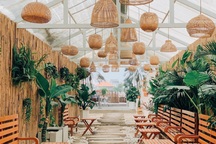 4 quán cà phê phong cách nhiệt đới đẹp như trời Âu "hút" khách ở Sài Gòn