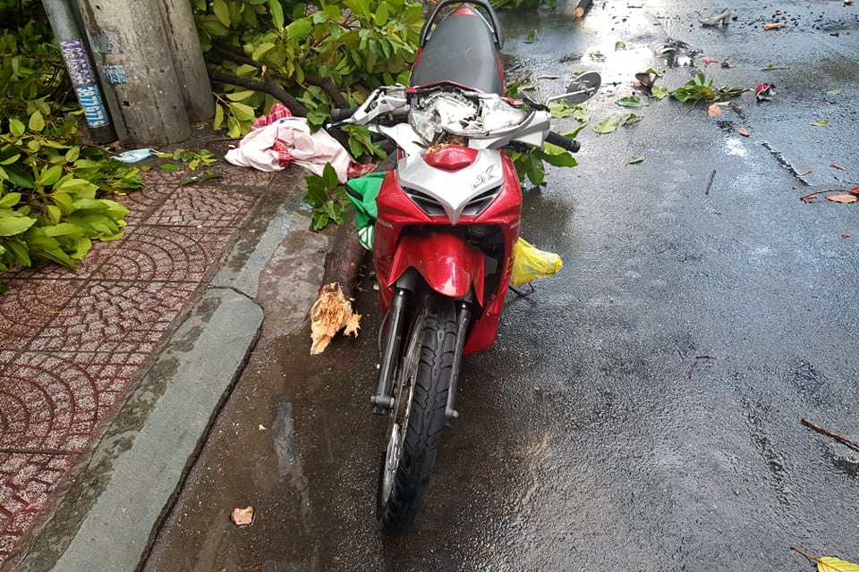 Nhiều cây đổ đè ô tô, xe máy trong cơn mưa lớn ở Sài Gòn - 2 Nhiều cây đổ đè ô tô, xe máy trong cơn mưa lớn ở Sài Gòn - 2