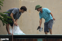 Người dân cần làm gì để đảm bảo an toàn khi bão Yagi đổ bộ?