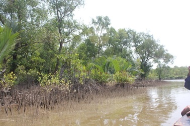 Bắt nguyên Phó Giám đốc Sở Nông nghiệp và Phát triển nông thôn