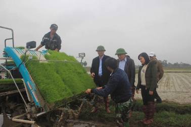 Quảng Trị áp dụng công nghệ mới, cơ giới hóa trong sản xuất nông nghiệp