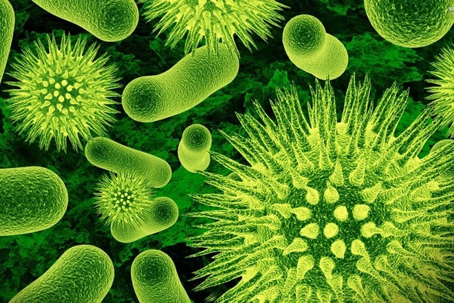 Đối mặt vi khuẩn kháng thuốc: Bác sĩ đau đầu vì tất cả vũ khí dần vô hiệu - 4