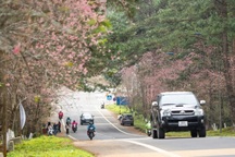 Quảng Ngãi và Kon Tum họp sáp nhập 2 tỉnh