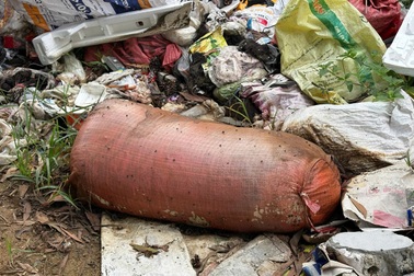 Phát hiện hàng loạt bao tải chứa lợn chết tại bãi rác, vườn keo ở Nghệ An