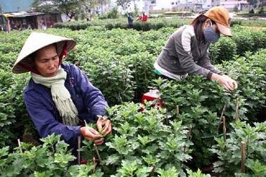 Chia thừa kế khi mẹ không để lại di chúc?