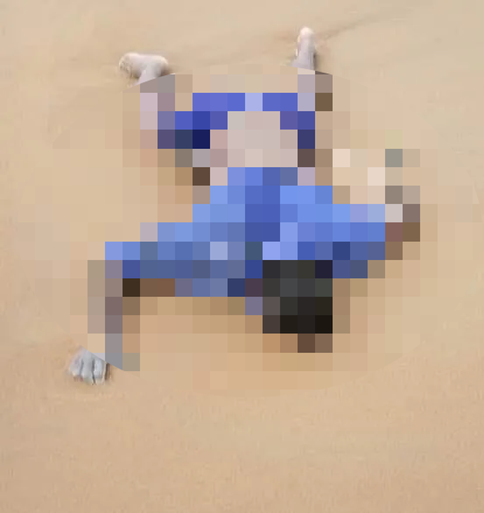 Phát hiện một thi thể bên bờ biển nghi là ngư dân mất tích - 1