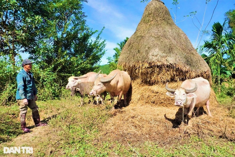 Gần Tết, cử nhân cày sấp mặt vẫn thua… lương công nhân - 6 Gần Tết, cử nhân cày sấp mặt vẫn thua… lương công nhân - 6