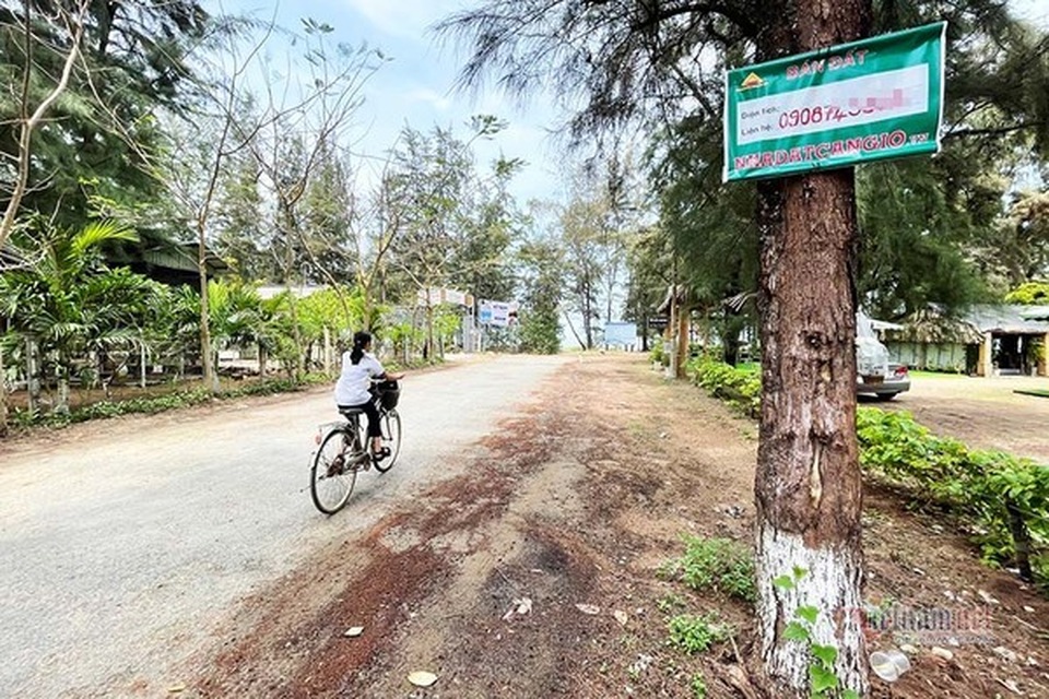 Quay cuồng trong sốt đất, Cần Giờ cấm công chức môi giới đất đai - 1 Quay cuồng trong sốt đất, Cần Giờ cấm công chức môi giới đất đai - 1