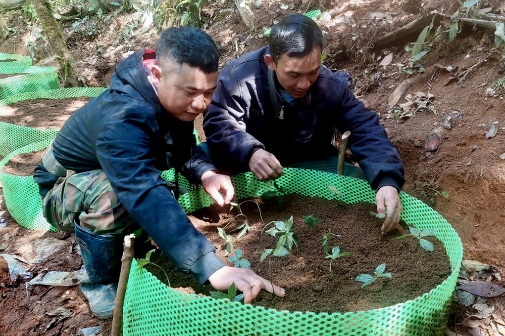 Một xã không nhận hoa chúc mừng đại hội, đổi thành cây giống cho người dân - 1 Một xã không nhận hoa chúc mừng đại hội, đổi thành cây giống cho người dân - 1