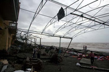 Tan hoang Thịnh Long