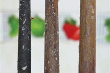 Độc vào theo đũa