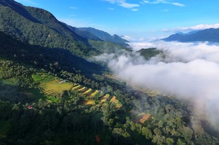 Chìm đắm trong biển mây, hoa tím đẹp như tranh trên đỉnh Tà Chì Nhù - 7