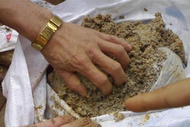 Phát hiện 12 mẫu phân bón kém chất lượng