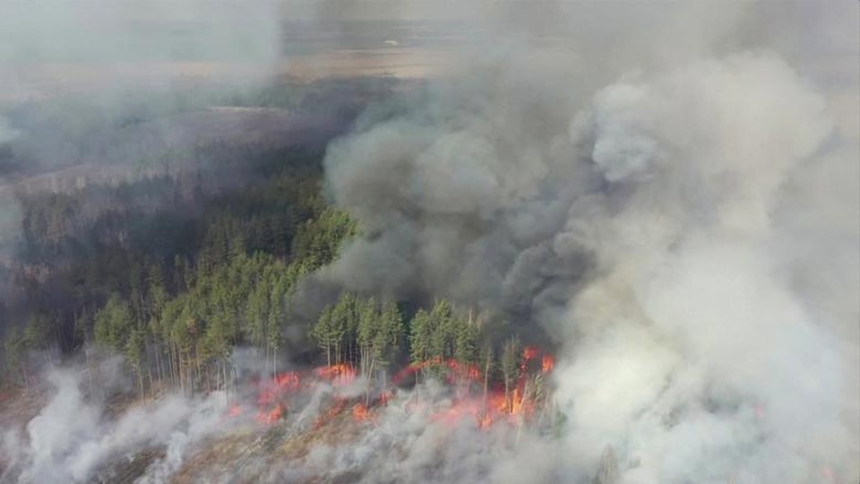 Cháy rừng ngùn ngụt ngay gần nhà máy hạt nhân Chernobyl - 1 Cháy rừng ngùn ngụt ngay gần nhà máy hạt nhân Chernobyl - 1