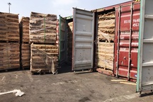 Phát hiện doanh nghiệp xuất khẩu 25 container gỗ trốn thuế gần 3 tỷ đồng