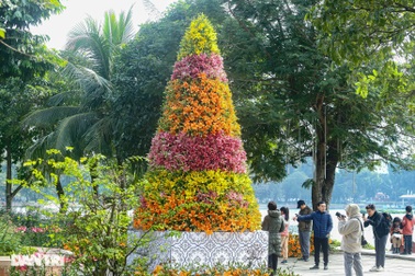 Hà Nội: Độc đáo cây thông Noel được kết từ 2.000 cành hoa ly tươi