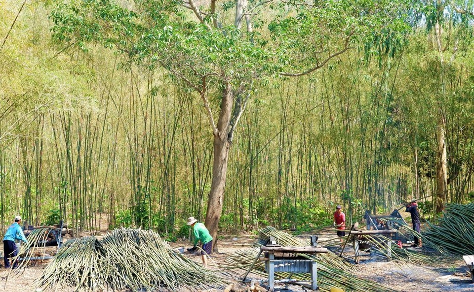 Nhọc nhằn nghề thổi lửa nướng tầm vông vùng quê An Giang - 2 Nhọc nhằn nghề thổi lửa nướng tầm vông vùng quê An Giang - 2