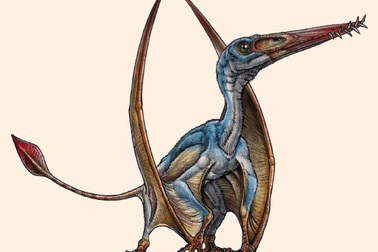 Phát hiện loài thằn lằn bay mới ở Patagonia