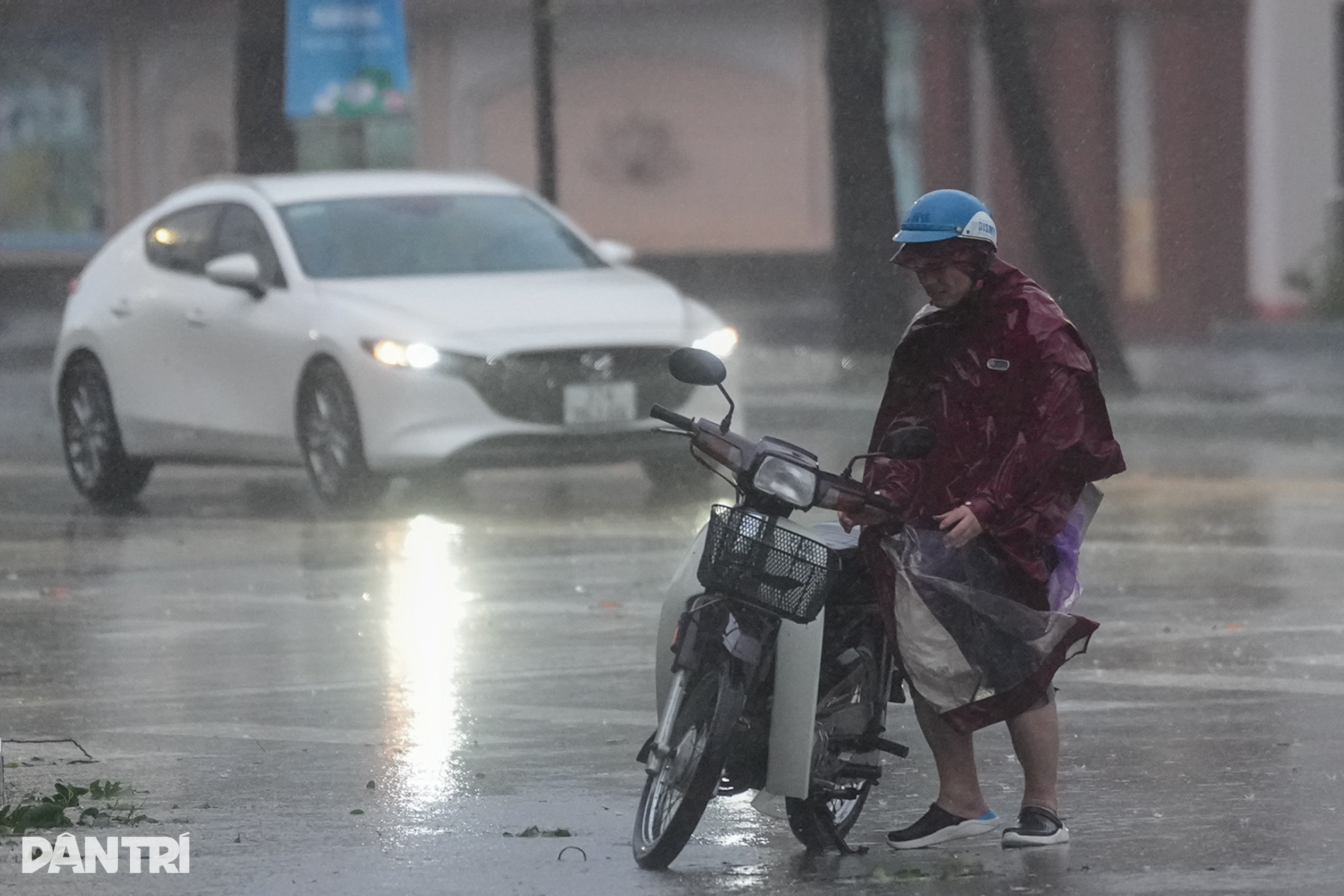 Bão Kajiki quần thảo: Khách sạn vỡ tung cửa kính, ô tô chết đứng giữa đường - 9