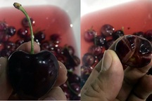 Cherry "ngoại" tiền triệu: Đột biến màu, nứt toác