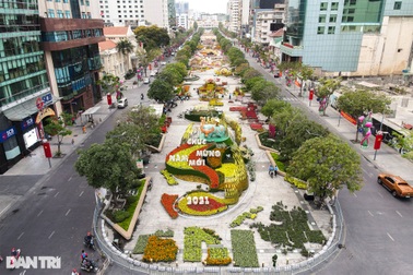 Hình ảnh đường hoa Nguyễn Huệ từ góc nhìn từ trên cao