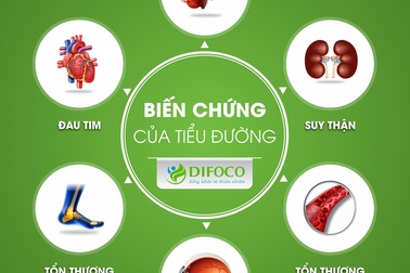 Các thảo dược bảo vệ bệnh nhân Tiểu đường