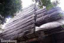 Hà Nội sẽ đình chỉ chủ tịch xã, phường "buông lỏng" vi phạm xây dựng