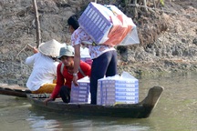 Bốn tháng, hơn 63.000 vụ hàng lậu, gian lận thương mại bị bắt giữ