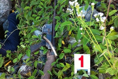 Một thanh niên nằm chết bên khẩu súng trong rừng