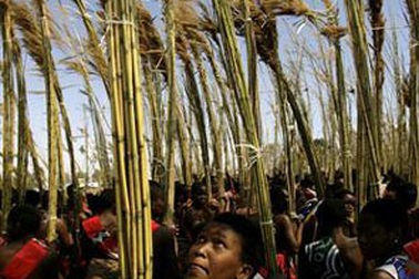 Hàng ngàn trinh nữ ngực trần khiêu vũ vì Vua Swaziland