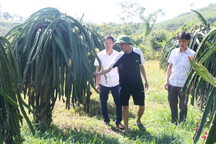 Bí thư chi bộ, xóm trưởng nhận phụ cấp gần 3,8 triệu đồng/tháng