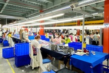 31 doanh nghiệp trong Khu chế xuất Tân Thuận ngừng hoạt động vì Covid-19