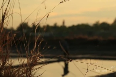 Vẻ đẹp của cánh đồng muối Hòn Khói, Khánh Hòa