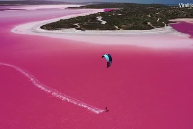 Màu nước tím của hồ Hutt Lagoon