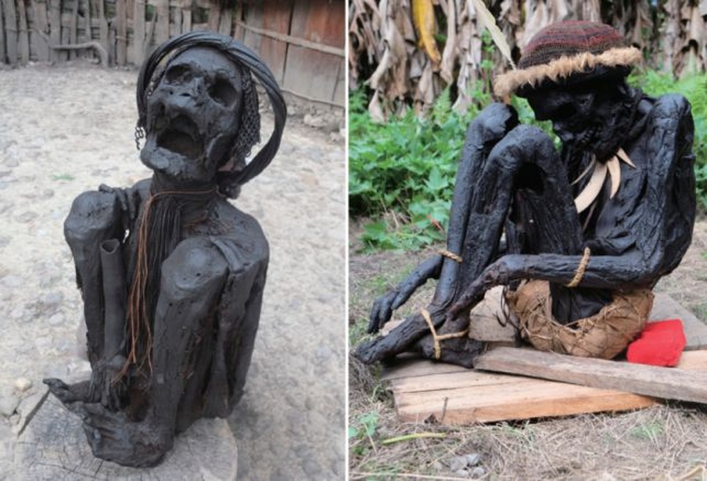 Phát hiện bất ngờ từ xác ướp người cổ xưa nhất vừa được tìm thấy - 3 Phát hiện bất ngờ từ xác ướp người cổ xưa nhất vừa được tìm thấy - 3