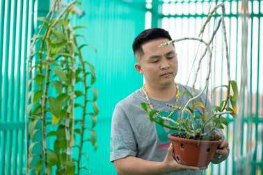 Nghệ nhân Lê Đăng Khoa chia sẻ đặc điểm sinh trưởng và chăm sóc Lan Phi Điệp Var đúng chuẩn