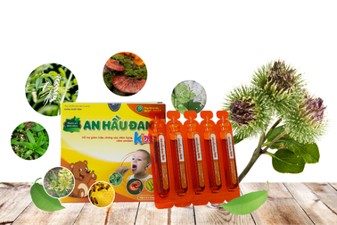 Thảo dược hỗ trợ điều trị viêm Amidan, viêm VA như thế nào?