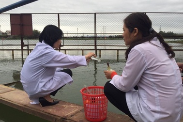 Lo hạn hán, Đà Nẵng đề nghị 4 thủy điện dừng phát điện